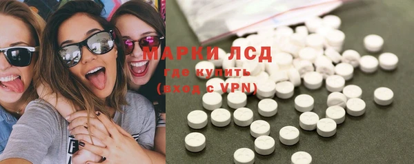 ГАЛЛЮЦИНОГЕННЫЕ ГРИБЫ Сатка