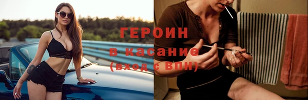 прущие грибы Алзамай