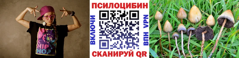 Псилоцибиновые грибы мицелий кракен как войти Емва